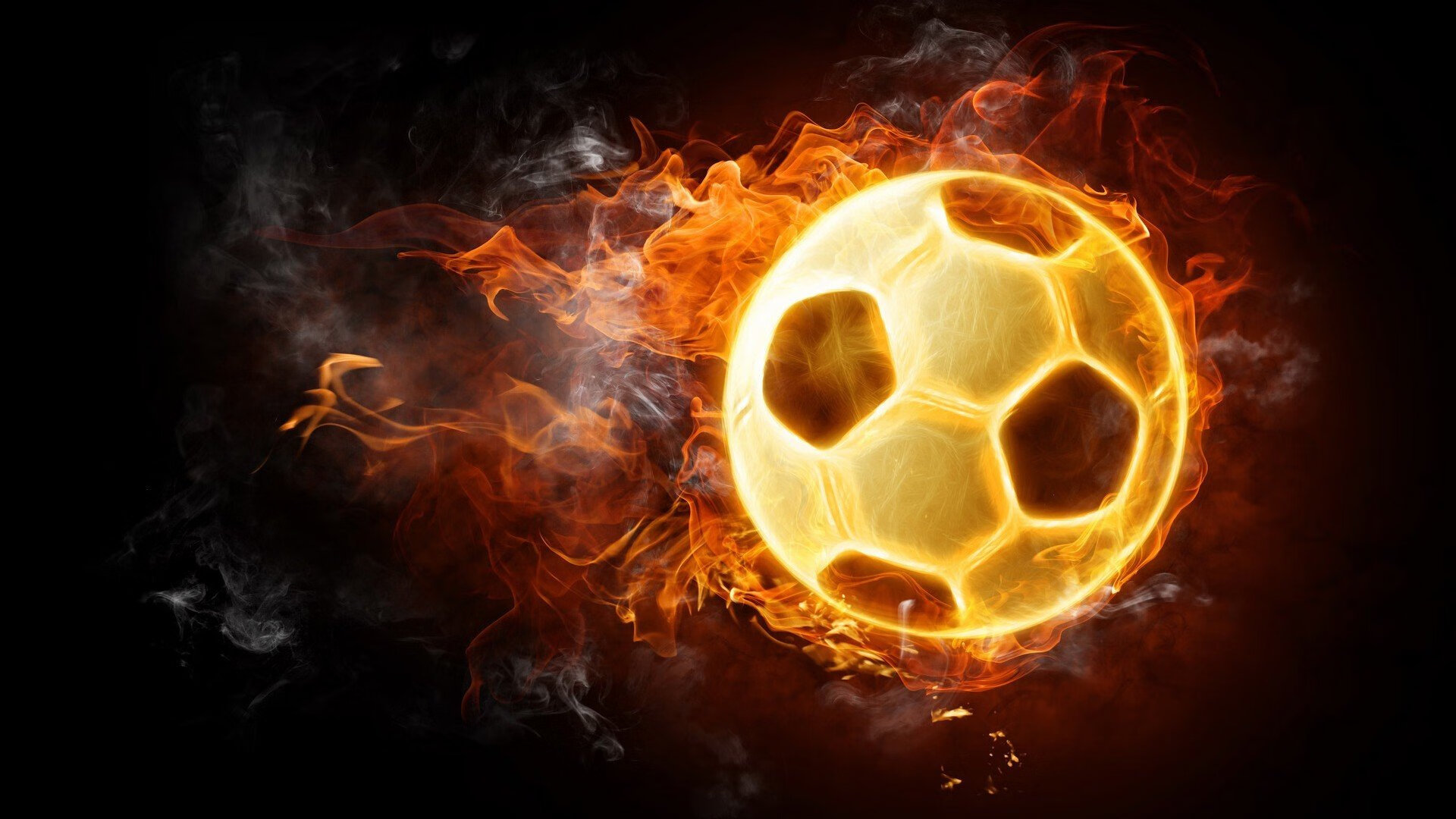 开云中国大陆-西班牙马术协会推出马术文化推广计划，提升马术运动在国内，西班牙马种