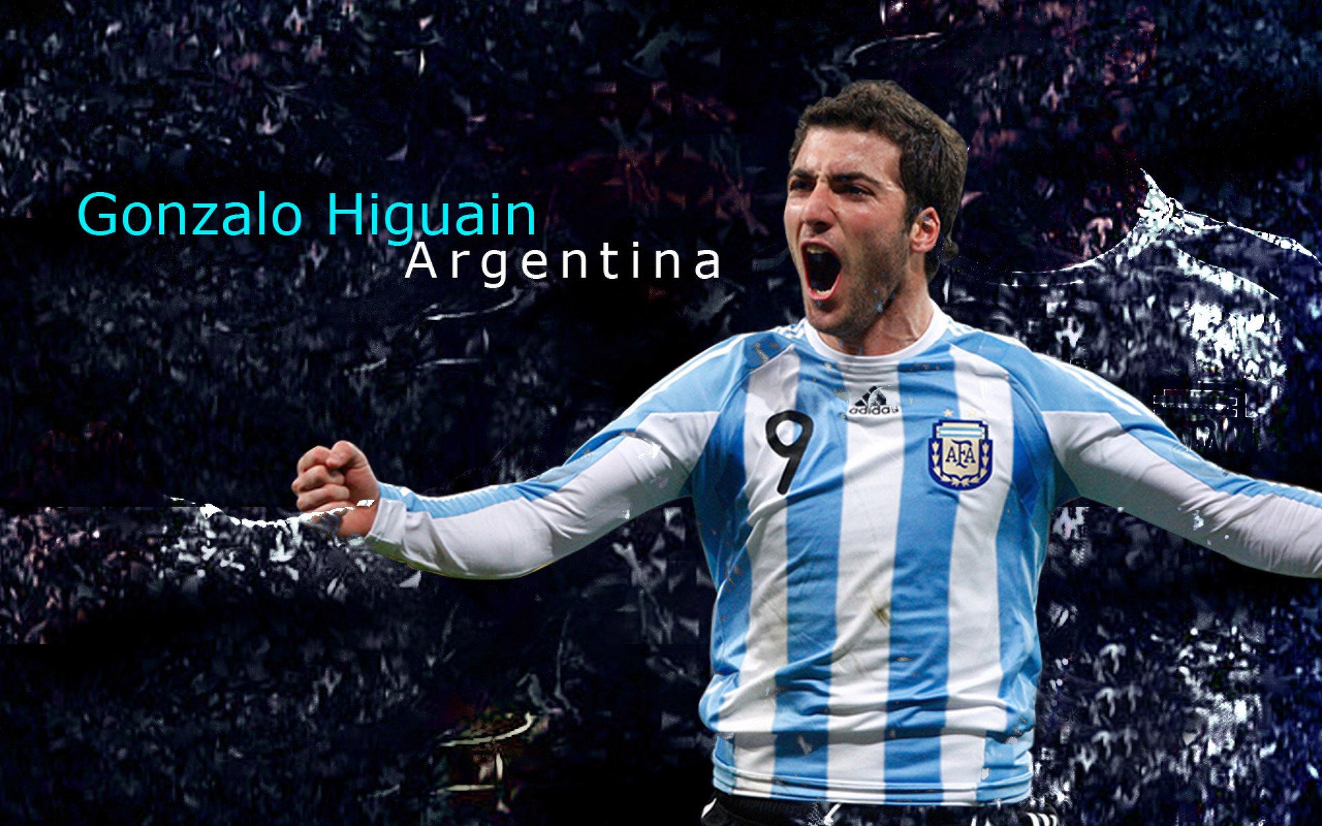 中国选手划频波动下降，节奏更均匀